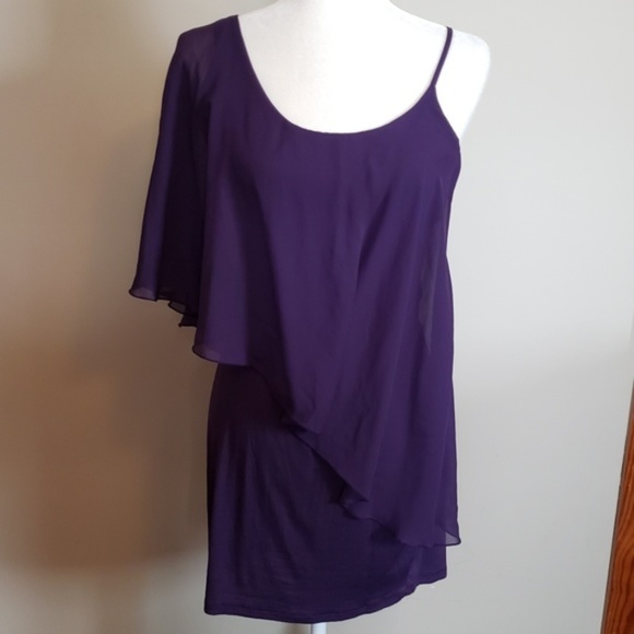 ⭐ Asymmetric Purple Sheer Tunic Blouse - Picture 1 of 7